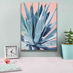'Agave With Coral by Alana Clumeck Giclee Canvas Wall Art,12x16