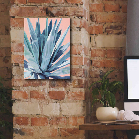 Image of 'Agave With Coral by Alana Clumeck Giclee Canvas Wall Art,12x16