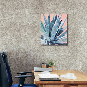 'Agave With Coral by Alana Clumeck Giclee Canvas Wall Art,20x24