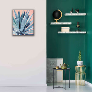 'Agave With Coral by Alana Clumeck Giclee Canvas Wall Art,20x24