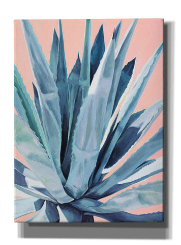 Image of 'Agave With Coral by Alana Clumeck Giclee Canvas Wall Art