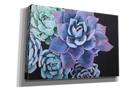 Image of 'Abundance by Alana Clumeck Giclee Canvas Wall Art