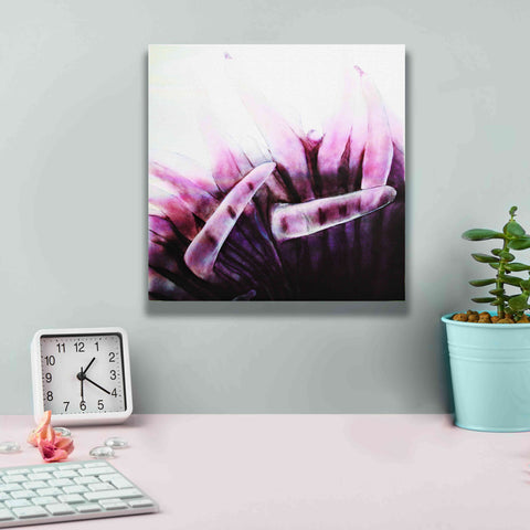 Image of 'Tentacles' by Rita Shimelfarb, Giclee Canvas Wall Art,12x12