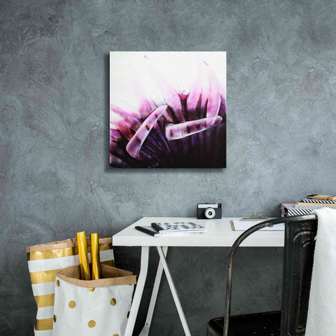 Image of 'Tentacles' by Rita Shimelfarb, Giclee Canvas Wall Art,18x18