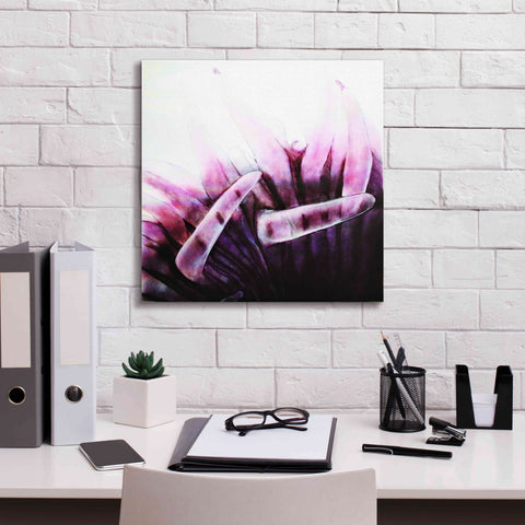 Image of 'Tentacles' by Rita Shimelfarb, Giclee Canvas Wall Art,18x18