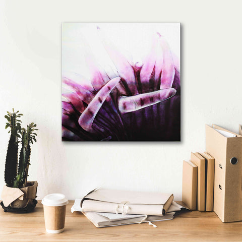 Image of 'Tentacles' by Rita Shimelfarb, Giclee Canvas Wall Art,18x18