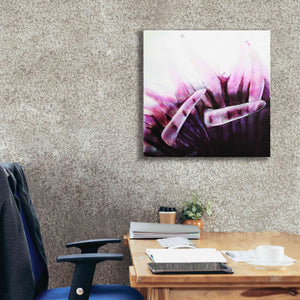 'Tentacles' by Rita Shimelfarb, Giclee Canvas Wall Art,26x26