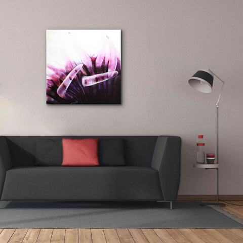 Image of 'Tentacles' by Rita Shimelfarb, Giclee Canvas Wall Art,37x37