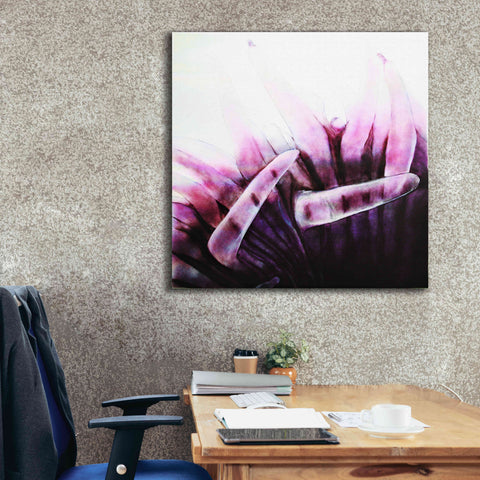 Image of 'Tentacles' by Rita Shimelfarb, Giclee Canvas Wall Art,37x37