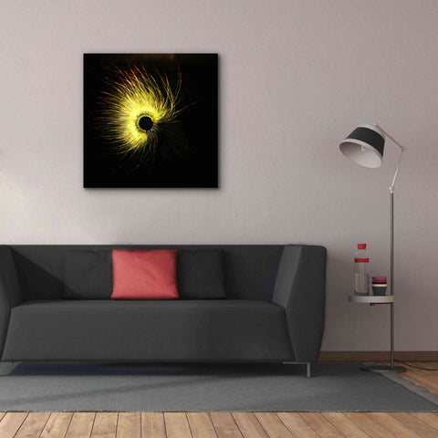 Image of 'Luminescence' by Rita Shimelfarb, Giclee Canvas Wall Art,37x37