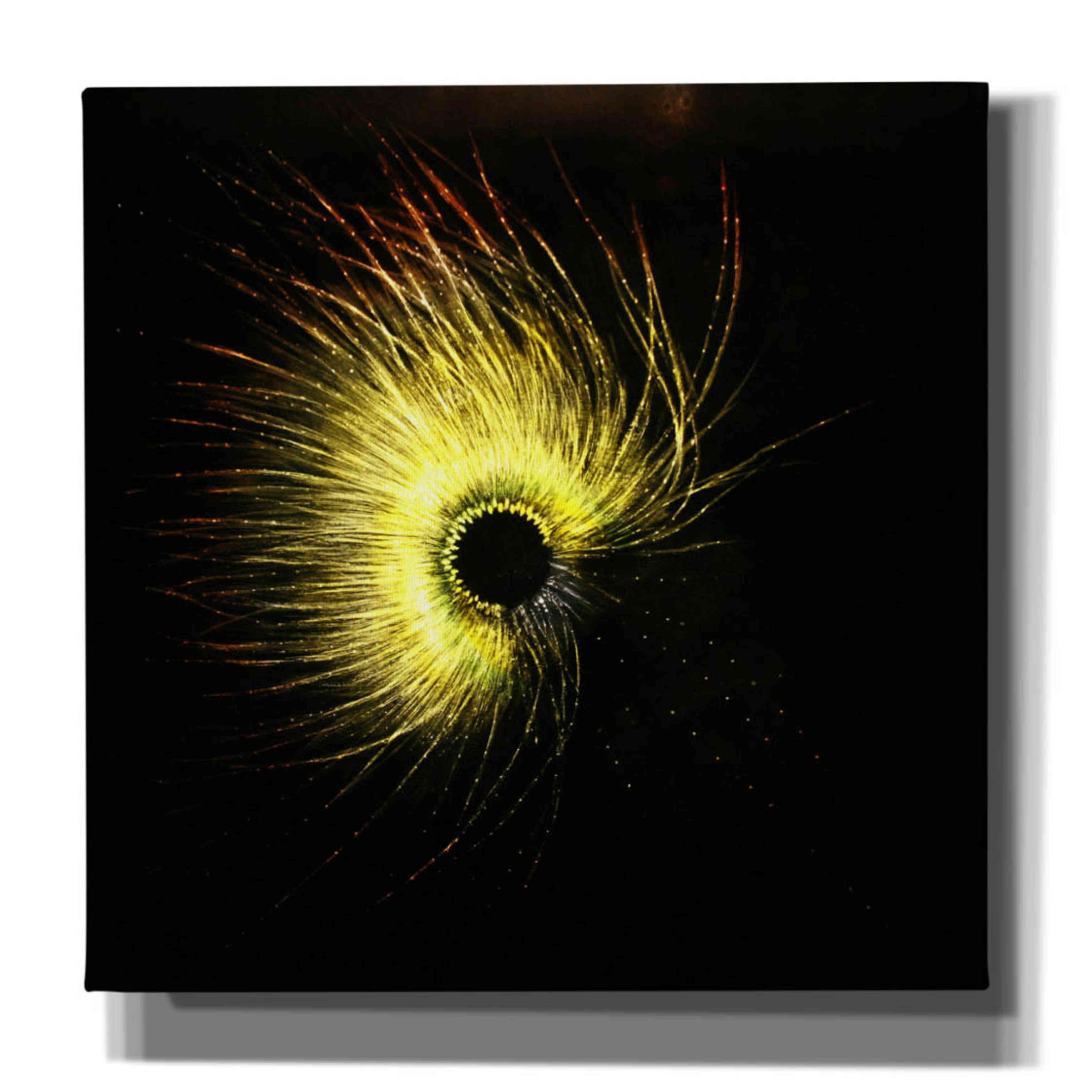 'Luminescence' by Rita Shimelfarb, Giclee Canvas Wall Art