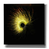 'Luminescence' by Rita Shimelfarb, Giclee Canvas Wall Art