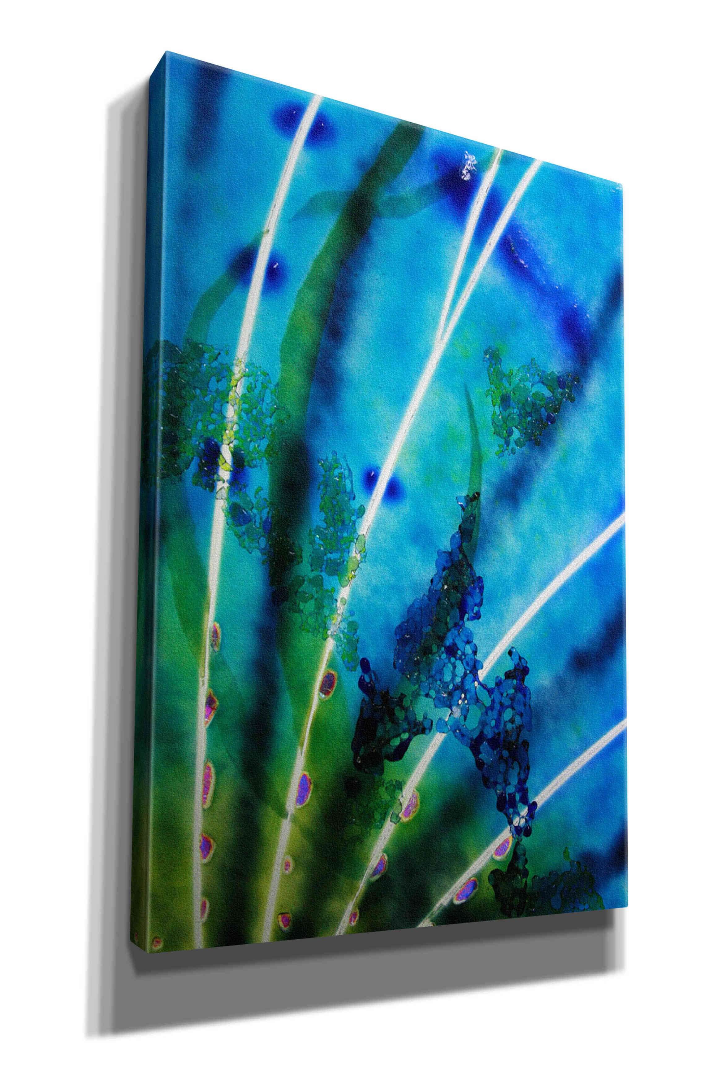 'Lion Fish Fin' by Rita Shimelfarb, Giclee Canvas Wall Art