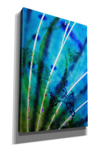 'Lion Fish Fin' by Rita Shimelfarb, Giclee Canvas Wall Art