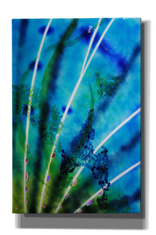 Image of 'Lion Fish Fin' by Rita Shimelfarb, Giclee Canvas Wall Art