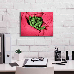 'Folds' by Rita Shimelfarb, Giclee Canvas Wall Art,16x12