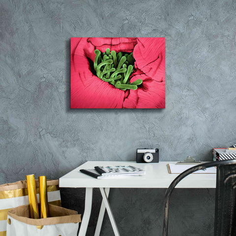 Image of 'Folds' by Rita Shimelfarb, Giclee Canvas Wall Art,16x12