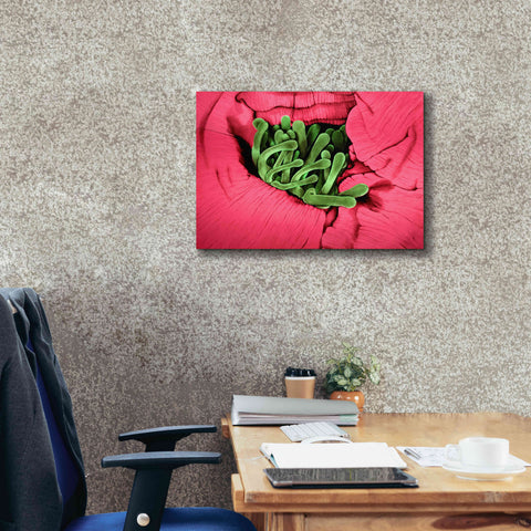 Image of 'Folds' by Rita Shimelfarb, Giclee Canvas Wall Art,26x18