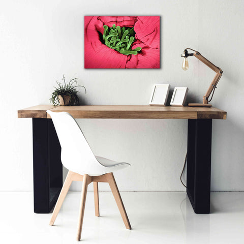 Image of 'Folds' by Rita Shimelfarb, Giclee Canvas Wall Art,26x18