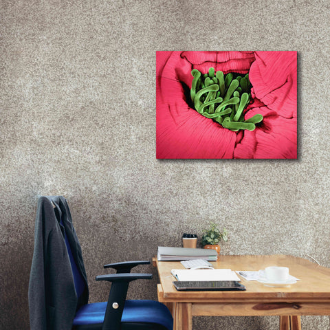 Image of 'Folds' by Rita Shimelfarb, Giclee Canvas Wall Art,34x26