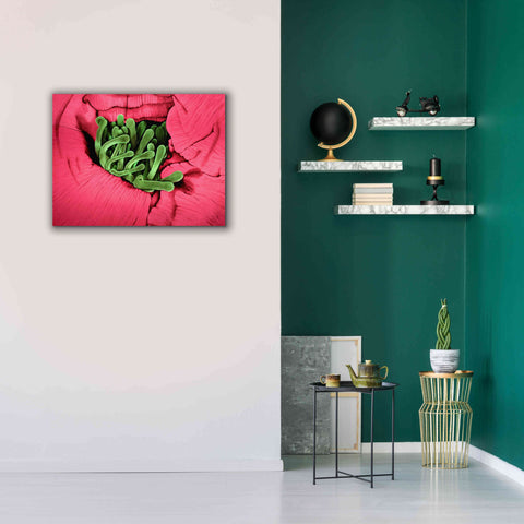 Image of 'Folds' by Rita Shimelfarb, Giclee Canvas Wall Art,34x26