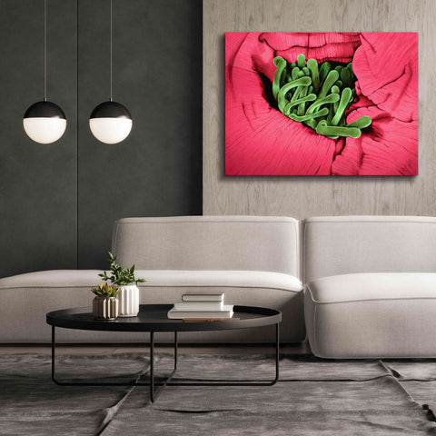 Image of 'Folds' by Rita Shimelfarb, Giclee Canvas Wall Art,54x40