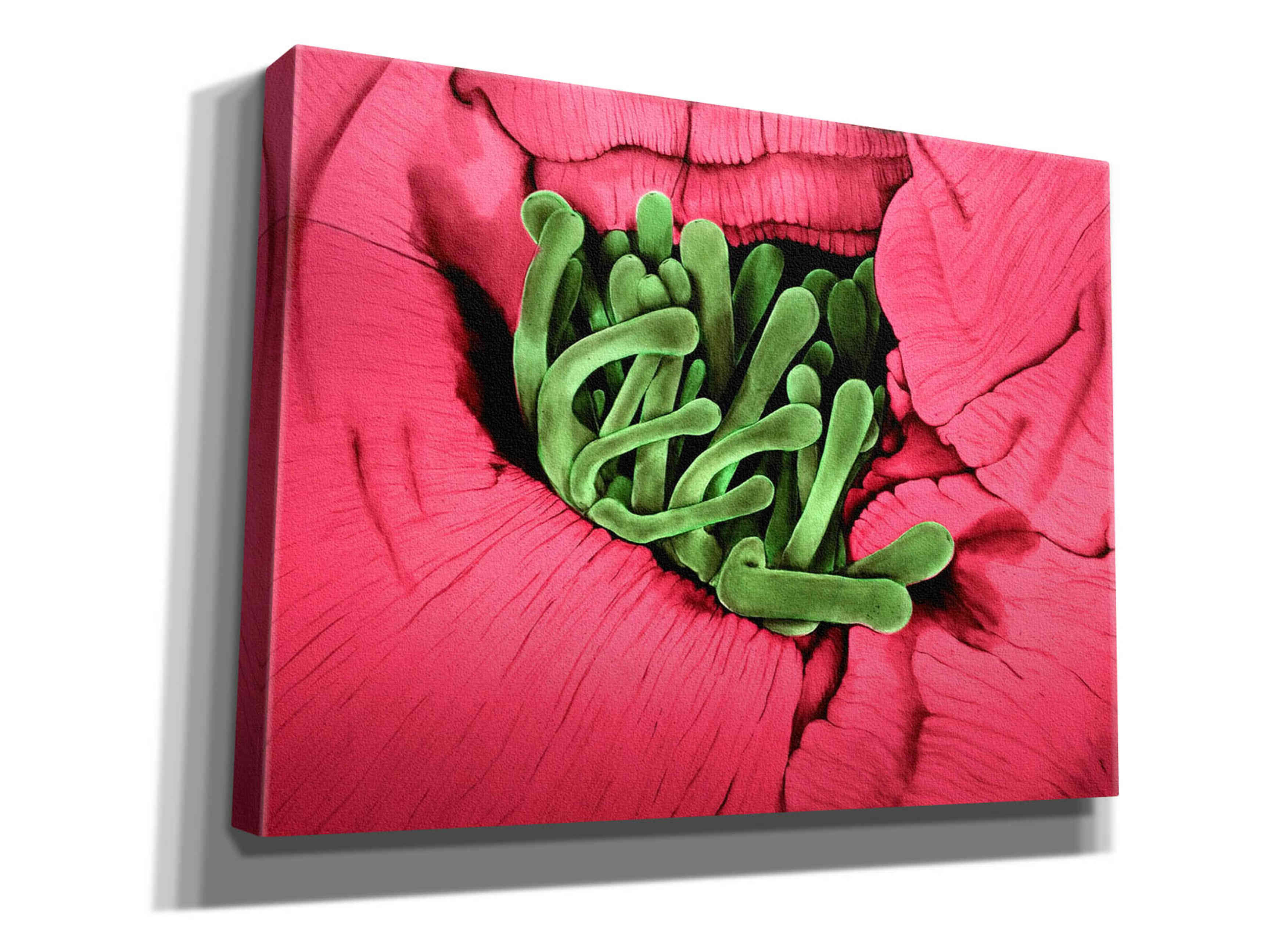 'Folds' by Rita Shimelfarb, Giclee Canvas Wall Art