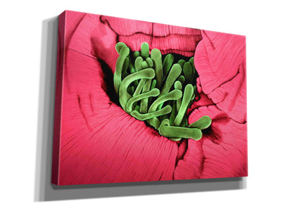 'Folds' by Rita Shimelfarb, Giclee Canvas Wall Art