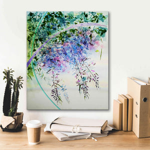 'Wisteria' by Rita Shimelfarb, Giclee Canvas Wall Art,20x24