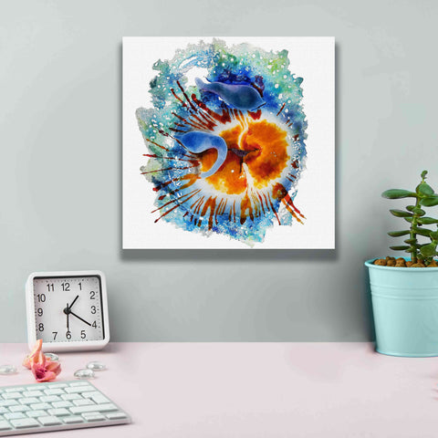 Image of 'Urticina Felinal' by Rita Shimelfarb, Giclee Canvas Wall Art,12x12