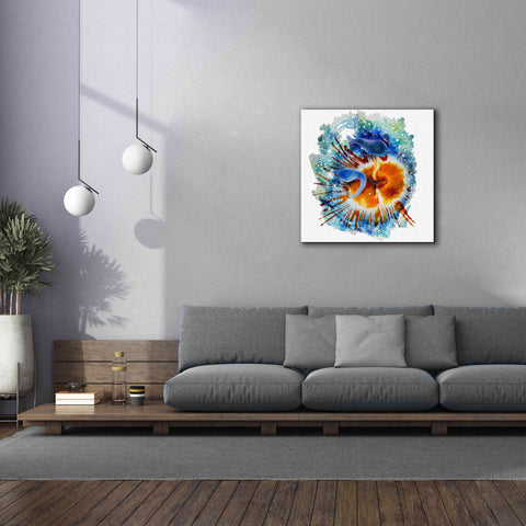 Image of 'Urticina Felinal' by Rita Shimelfarb, Giclee Canvas Wall Art,37x37