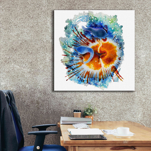 Image of 'Urticina Felinal' by Rita Shimelfarb, Giclee Canvas Wall Art,37x37