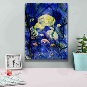 'Swimming With The Jellies' by Rita Shimelfarb, Giclee Canvas Wall Art,12x16