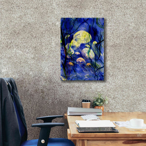 'Swimming With The Jellies' by Rita Shimelfarb, Giclee Canvas Wall Art,18x26