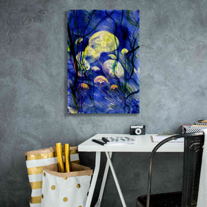 'Swimming With The Jellies' by Rita Shimelfarb, Giclee Canvas Wall Art,18x26