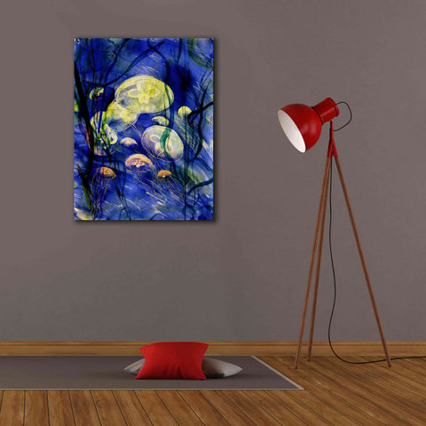 Image of 'Swimming With The Jellies' by Rita Shimelfarb, Giclee Canvas Wall Art,26x34