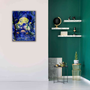 'Swimming With The Jellies' by Rita Shimelfarb, Giclee Canvas Wall Art,26x34
