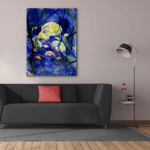 'Swimming With The Jellies' by Rita Shimelfarb, Giclee Canvas Wall Art,40x54