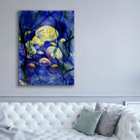 Image of 'Swimming With The Jellies' by Rita Shimelfarb, Giclee Canvas Wall Art,40x54