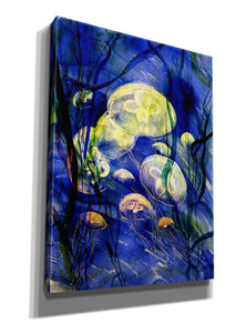 'Swimming With The Jellies' by Rita Shimelfarb, Giclee Canvas Wall Art