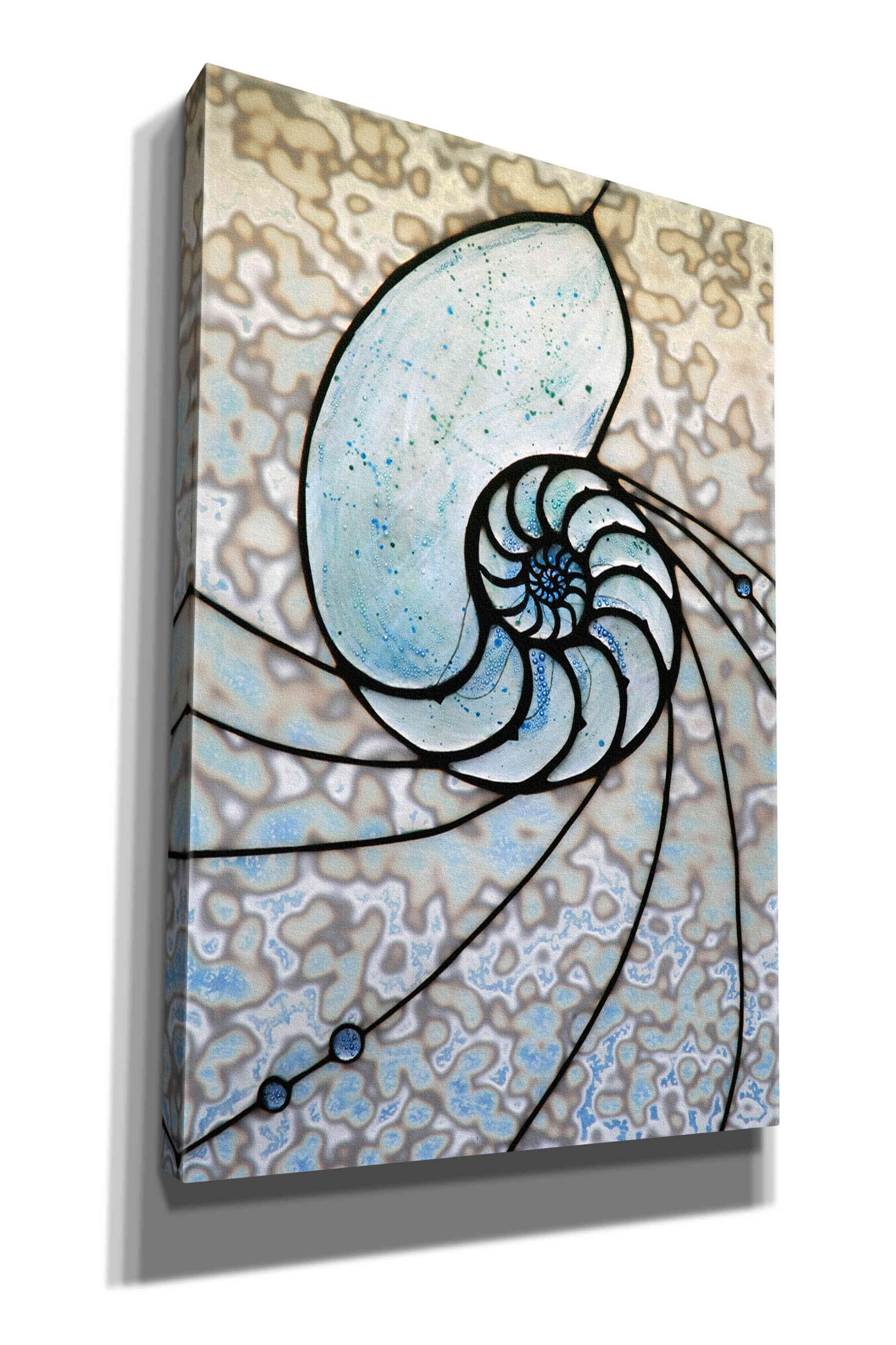 'Shell' by Rita Shimelfarb, Giclee Canvas Wall Art