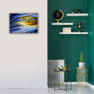 'Anemone Cerianthid' by Rita Shimelfarb, Giclee Canvas Wall Art,26x18