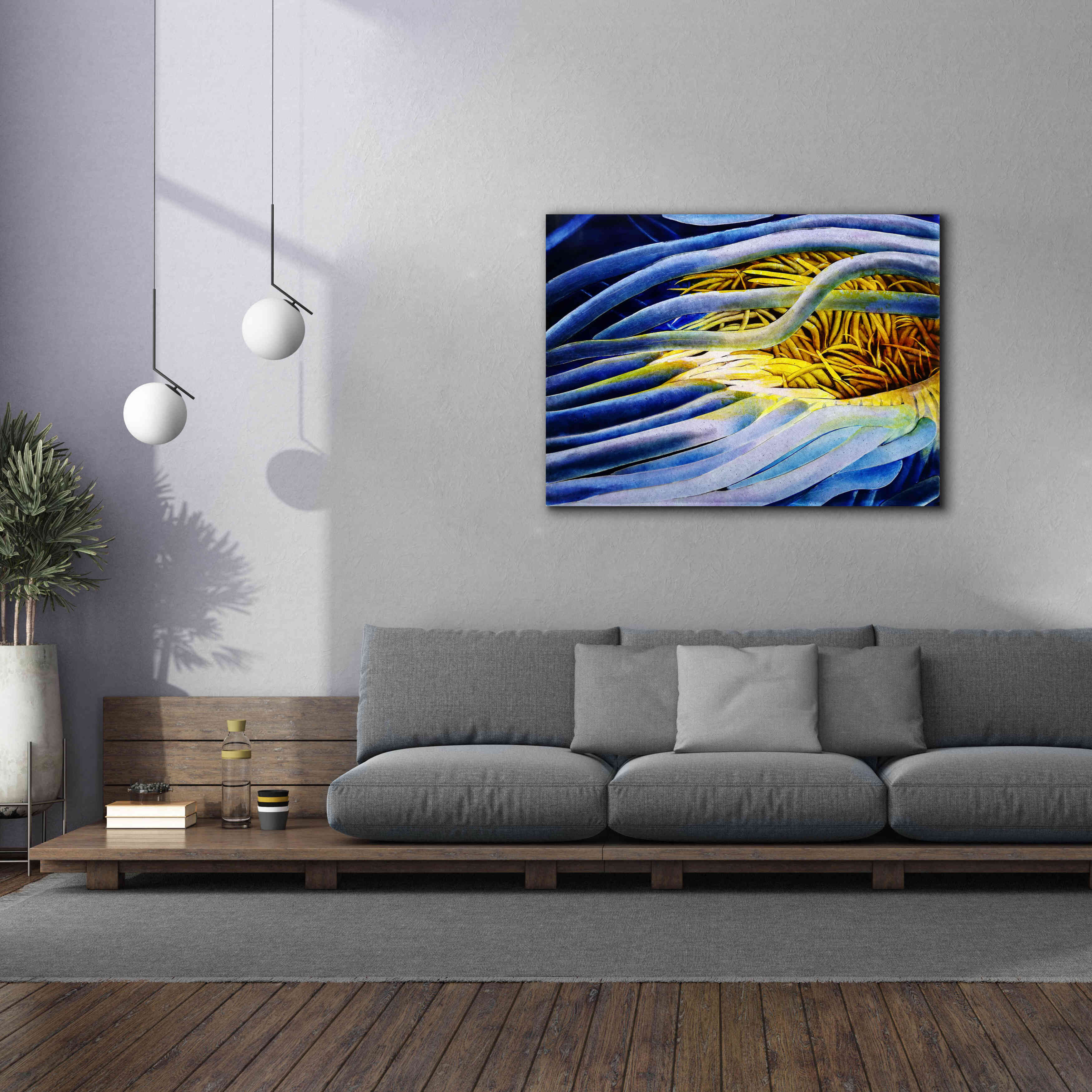 'Anemone Cerianthid' by Rita Shimelfarb, Giclee Canvas Wall Art,54x40
