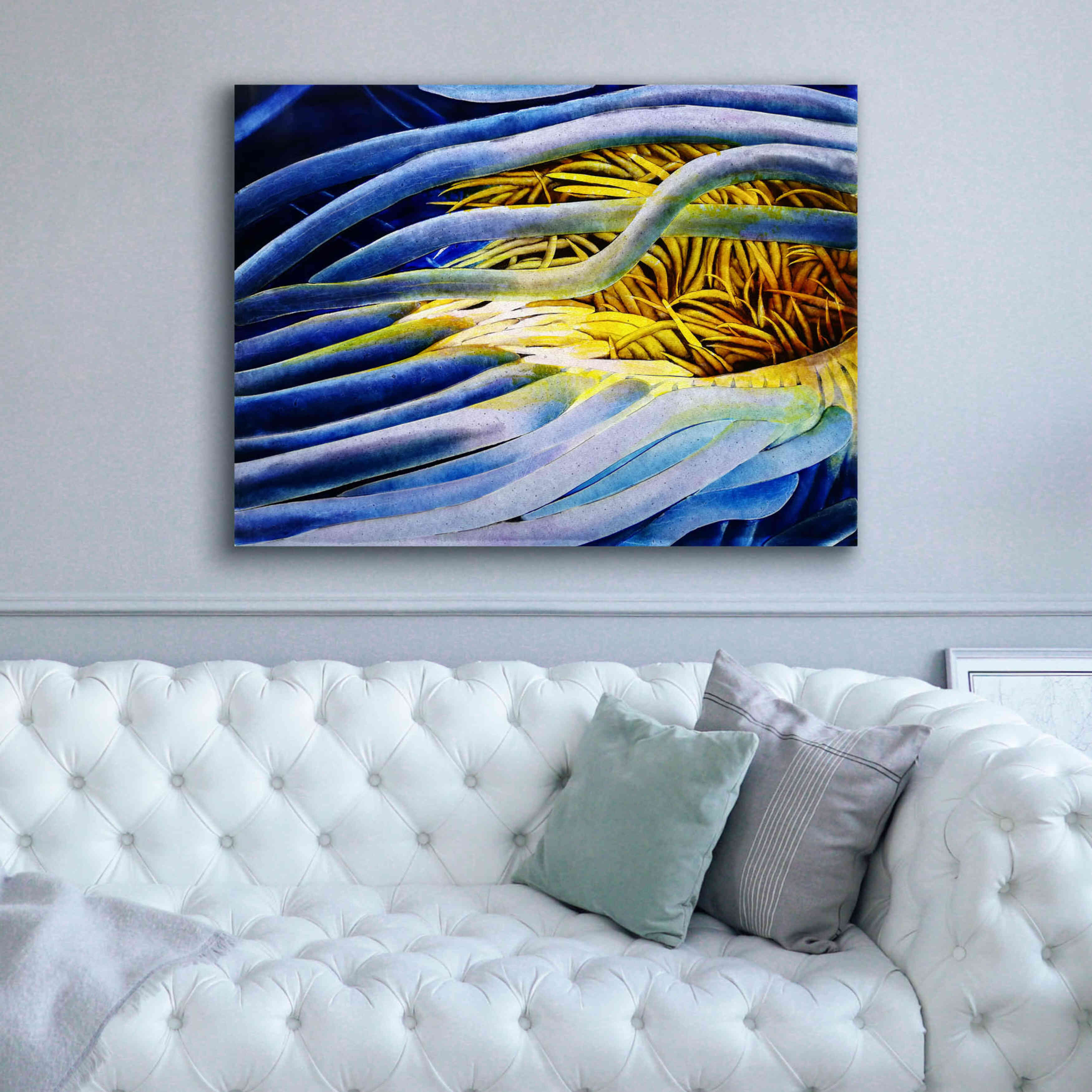 'Anemone Cerianthid' by Rita Shimelfarb, Giclee Canvas Wall Art,54x40