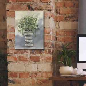 'Spider Plant in Pottery' by Julie Norkus, Giclee Canvas Wall Art,12x16