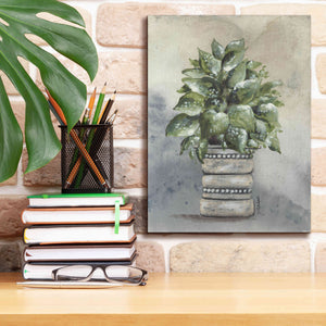 'Pathos in Pottery' by Julie Norkus, Giclee Canvas Wall Art,12x16