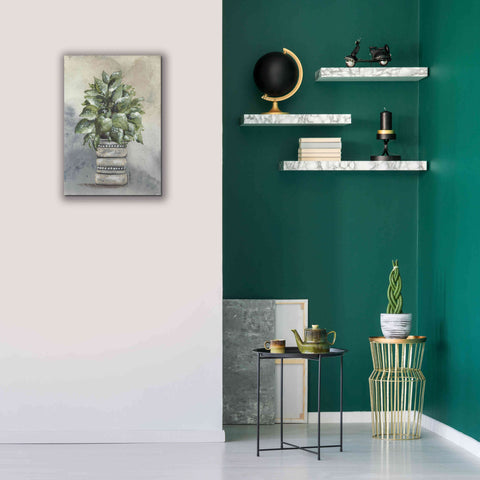 Image of 'Pathos in Pottery' by Julie Norkus, Giclee Canvas Wall Art,18x26