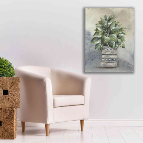 Image of 'Pathos in Pottery' by Julie Norkus, Giclee Canvas Wall Art,26x34