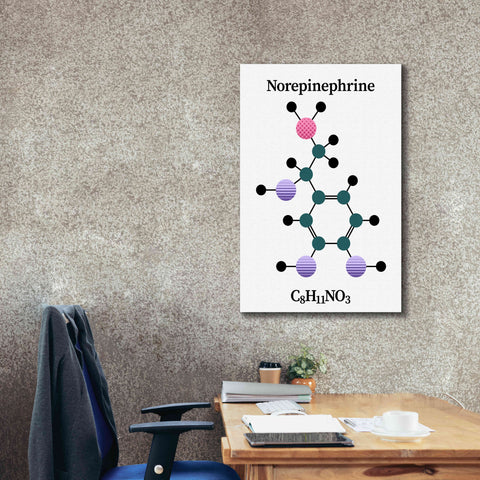 Image of 'Norepinephrine Molecule' by Epic Portfolio, Giclee Canvas Wall Art,26x40