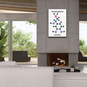 'Norepinephrine Molecule' by Epic Portfolio, Giclee Canvas Wall Art,26x40
